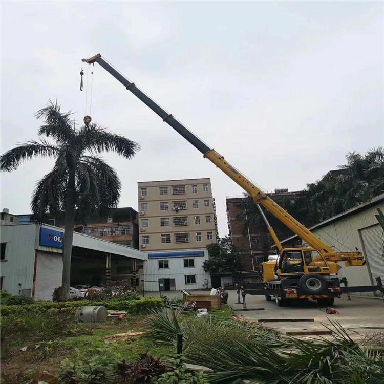 安岳汽车吊出租多少钱？全面解析与市场行情